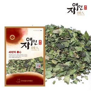 자애인 국산 꾸지뽕잎 꾸찌뽕 구찌뽕 잎 경북영천, 600g, 1개