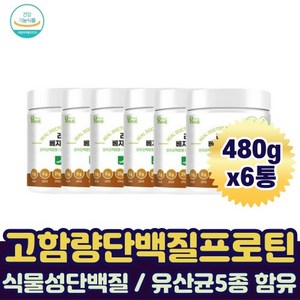 식물성단백질쉐이크 고함량 베지 프로틴단백질 락토바실러스 유산균 5종 함유 GMP 노인 노년 480gx6개, 480g, 6개