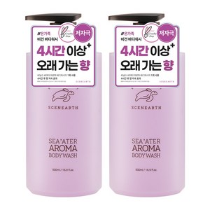 씨널스 씨어터 아로마 퍼퓸 보습 바디워시, 500ml, 2개