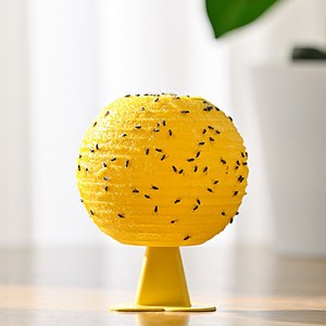 스피세프 나방파리 초파리 트랩 벼룩파리 끈끈이 제거, 29g, 3개