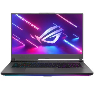 에이수스 2023 ROG 스트릭스 G17, Eclipse Gray, 512GB, 16GB, Free DOS, G713PV-LL053