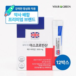 [유어그린] 비타민C 아스코르빈산 / 약사전문배합 / 100% 영국산 메가비타민 3000 고함량, 12박스, 90g
