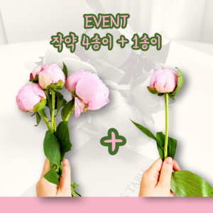 [정아네식탁] 작약 생화 꽃다발 택배 작약꽃 4송이 + 1송이, 1.작약 4송이+1송이(물량소진시 종료)