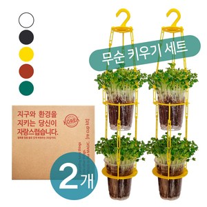 [몬도미오_리컵키트] 2인 패키지(무순씨앗)_업사이클링 체험 학습 만들기 키트 DIY 화분, 브라운(Bown)