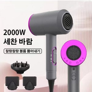 GooTa 드라이어 BLDC 초강력 음이온 프리미엄 헤어 드라이어 가정용 전문가용