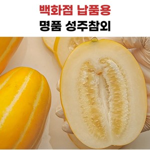 성주참외 당도보장, 가정용꿀참외, 1개, 1kg