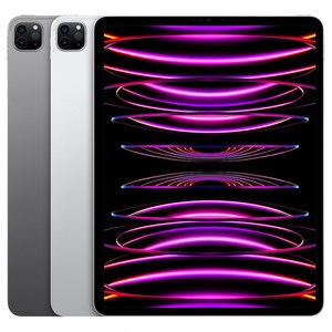 Apple 정품 2022 아이패드 프로 12.9 6세대 M2칩, Wi-Fi, 스페이스그레이, 128GB