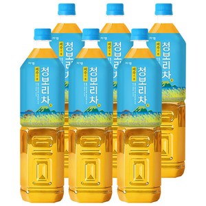 [쟈뎅] 제주의 봄 청보리차 1.5L X 6PET, 6개