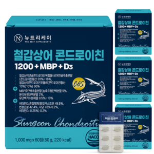뉴트리케이 C6S 6형 뮤코다당단백 철갑상어 연골 콘드로이친 1200 MBP 식약청인증 HACCP, 60정, 4개