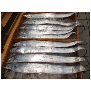 먹갈치 특대갈치1마리 5지갈치 왕특대갈치 (조업당일발송하는상품), 왕특대갈치 (1.2kg내외) 1마리-손질없음, 1개