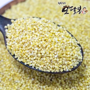 힘찬농부오달봉 수입 찰기장 기장쌀, 1개, 500g