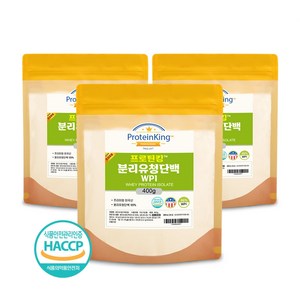 해썹인증 분리유청단백분말 WPI 400g 3팩, 3개