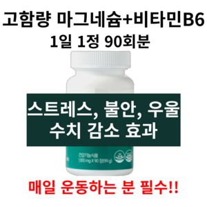 고함량 마그네슘 근육경련 손발저림 숙면 이명 이석증 귀에 좋은 영양제 삐소리날때, 1세트, 90정