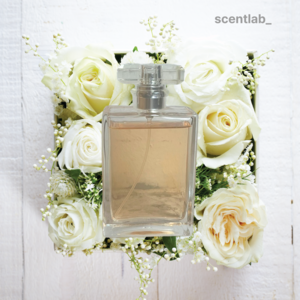 넘버5향 퍼퓸등급 여자향수 추천, 1개, 100ml