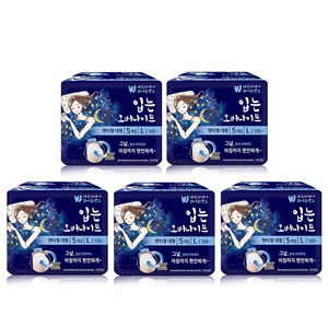 화이트센스 입는 오버나이트, 대형, 5개입, 5개