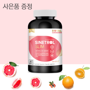 로얄 캐네디언 800mg 시네트롤 슬림 25배 농축 자몽 67배 농축 오렌지+ 프로바이오틱 마누카허니 사은품 증정, 60캡슐, 1개, 60정