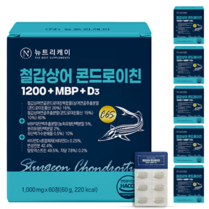뉴트리케이 C6S 6형 뮤코다당단백 철갑상어 연골 콘드로이친 1200 MBP 식약청인증 HACCP, 60정, 6개