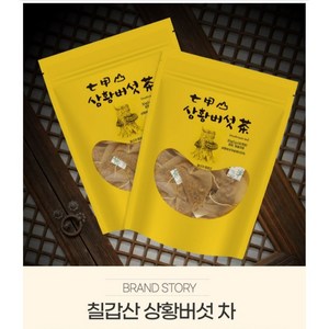 [면역력엔] 칠갑산 장수 상황버섯차 티백 30g 50g 국내산100% 텀블러용, 1개