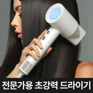 고출력 BLDC 전문가용 헤어 드라이기 가정용 미용실 드라이기