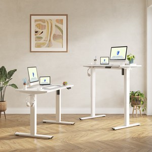 FlexiSpot 전동 모션데스크 EF1 컴퓨터책상 높이조절책상 A/S 5년 높이690-1100mm 학생책상 낮은 높이 사무실책상 게이밍책상