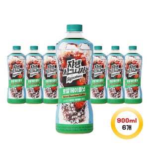 쟈뎅 시그니처 로얄 헤이즐넛