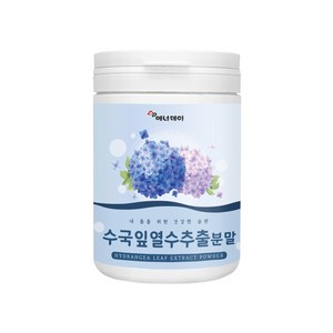 에너데이 수국잎열수추출분말100g 2개, 100g