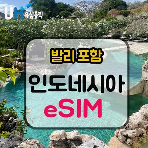 eSIM 인도네시아 이심 데이터 무제한 e심 XL 텔콤셀 핫스팟 발리이심, 4일, 매일 2GB, 데일리플랜, 1개