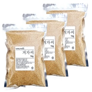 다누푸드 겨자씨 3kg 백개자 백계자, 1개