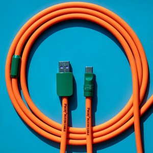 파카이 2미터 초고속 충전 실리콘 케이블 USB to C