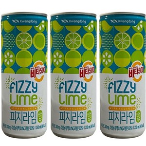 비타500 피지라임, 250ml, 72개