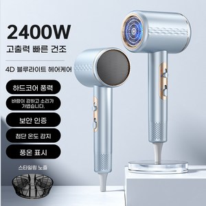 ANYOU 고출력 블루라이트 케어 헤어 드라이기 파워풍량 2400W 가정용 저소음 휴대용