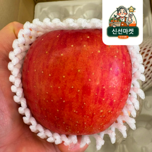 [산지직송] 1년 내내 먹는 경북 정품 부사 재주문 높아요, 1개, 3kg 중대사이즈