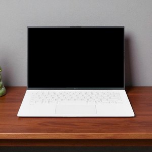 LG전자 LG 그램 에센스화이트, 코어Ultra5, 256GB, 16GB, WIN11 Home, 2025.01