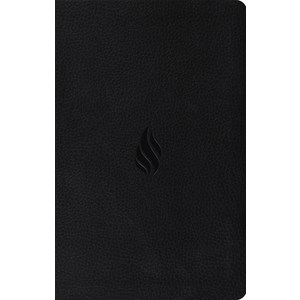 (영문도서) Pemium Gift Bible-ESV-Flame Design Imitation Leathe, Cossway, 9781433550621, Cossway Bibles