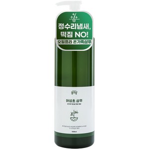 대용량 청소년 오일프리 샴푸 어성초 사춘기 초등 학생 두피 떡진 머리 기름기 정수리 냄새, 1L, 1개