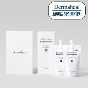 [더마힐 공식] 헤어 컨디셔닝 샴푸 1300ml 패키지, 1세트
