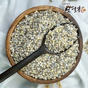 힘찬농부오달봉 국산 오색보리 (늘보리 청보리 찰보리 흑보리 자색보리), 1개, 4kg(2kg 2봉)