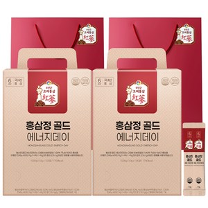 1+1 홍삼정 골드 6년근 프리미엄 100회분 대용량 쇼핑백 선물세트 에너지데이, 1L, 2개