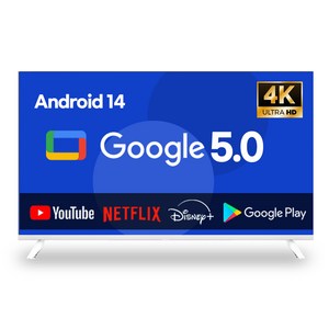 이브이 4K UHD LED TV, 109cm, 스마트 TV, 스탠드형, 고객직접설치