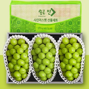 프리미엄당도 특품 샤인머스켓 과일 선물세트, 1개, 2kg