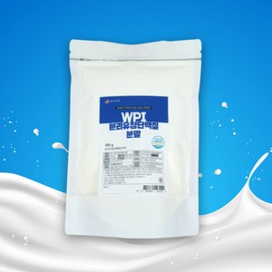 WPI 분리유청단백질 분말 500g HACCP 인증제품, 5개