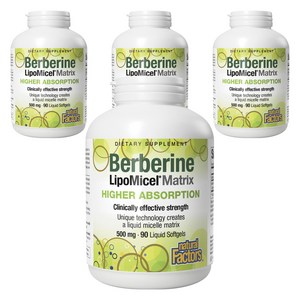 네추럴팩터스 베르베린 리포미셀 매트릭스 500mg 리퀴드 소프트젤, 90정, 4개