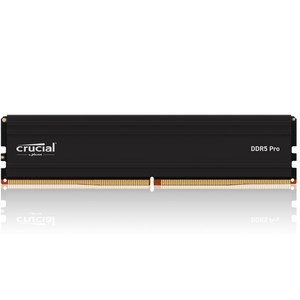 마이크론 Cucial DDR5-5600 CL46 PRO 아스크텍 (32GB), CP32G56C46U5