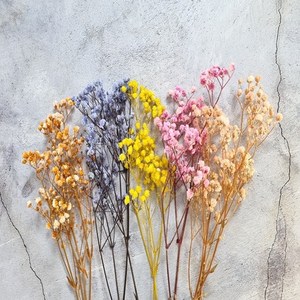 프리저브드플라워 - 컬러 안개 안개꽃, 레드