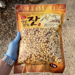 2024년 가평잣 국산잣 햇잣 생잣 1kg, 1개, 황잣