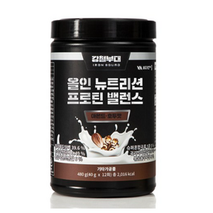 비타민마을 강철부대 올인 뉴트리션 프로틴 밸런스 단백질 보충제, 480g, 2개