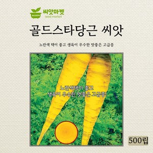 KS종묘 골드스타당근 500립, 1개