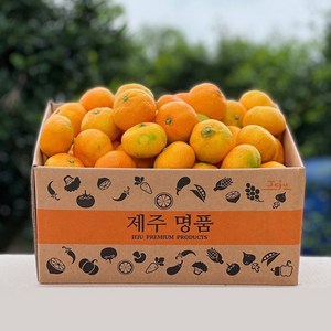 넉넉 제주 귤 감귤 조생귤 실중량 1kg/2kg/3kg/4.5kg/9kg, 1박스, 중대과(L-2L) 9kg