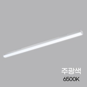 비츠온 LED 주차장등 형광등 일자등 형광등기구 60w, 비츠온 주차장등 1200mm 60W