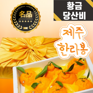 황금 당산비 푸드온 제주 한라봉 3kg 선물세트 9-12과 내외 농가직송, 1박스